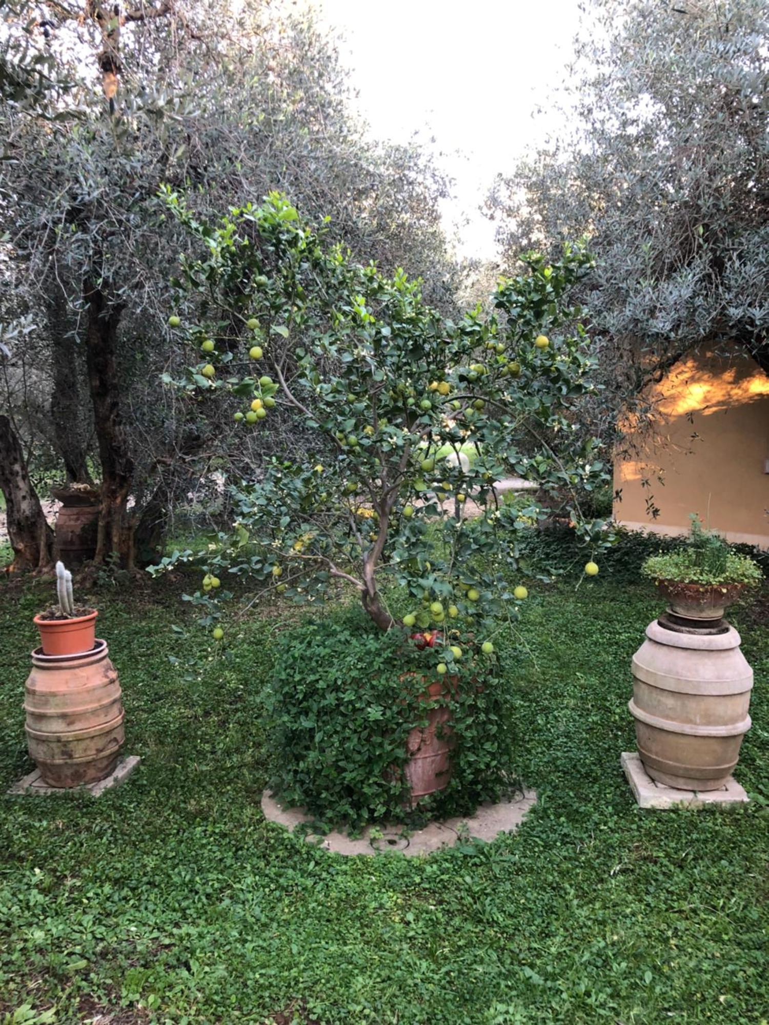 Agriturismo La Canonica Manciano Esterno foto